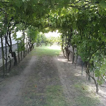 In 18415 バラトンフェニヴェシュ