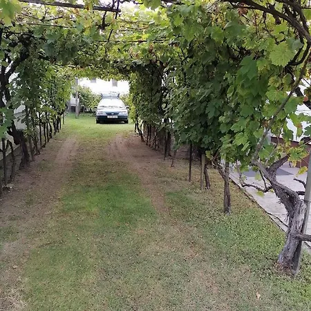 別荘 In 18415 バラトンフェニヴェシュ