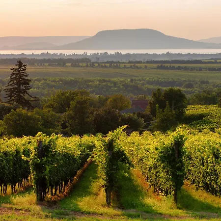 In 18415 Balatonfenyves