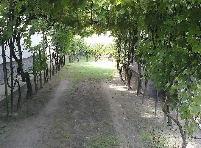 In 18415 בלטונפנבש