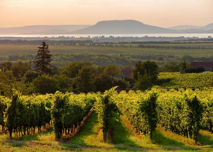 In 18415 בלטונפנבש